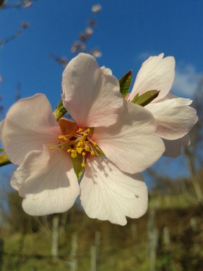 Springing Into Action