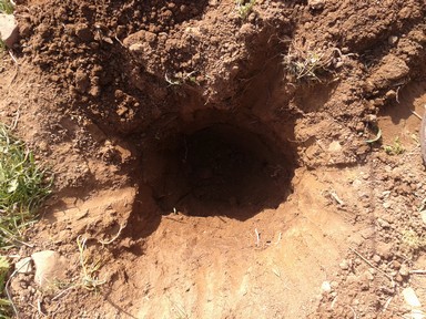 Hole in the ground