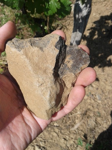 The ubiquitous basalt rock.