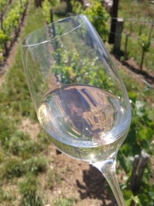 Riesling