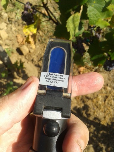 Gently close the hinged cover over the grape juice.