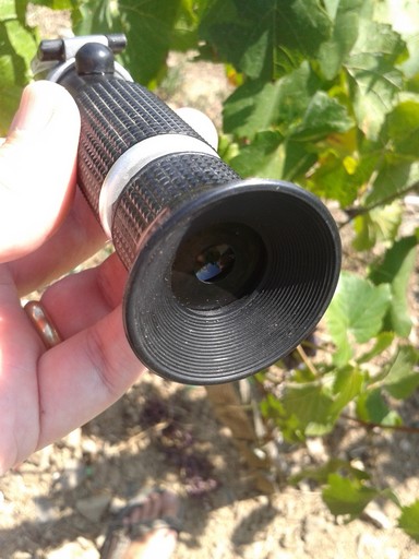 Hold the refractometer in the sunlight and look through the eye piece at the other end.