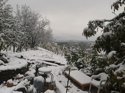 First snow fall of the season.