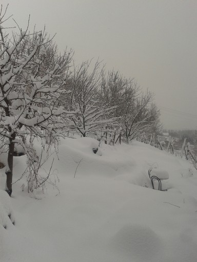 Snow view from porch