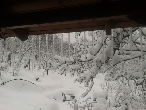 Snow view from porch
