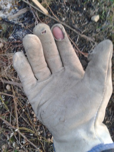 I work my gloves hard, and wear them out so fast I buy gloves by the bushel.