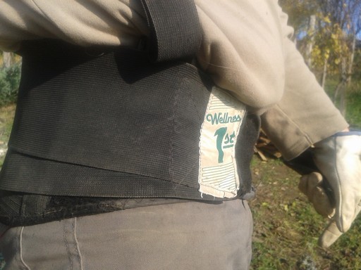 Back support belt.