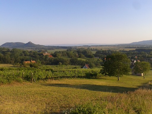 The view of Lake Balaton from the top of Property 2.