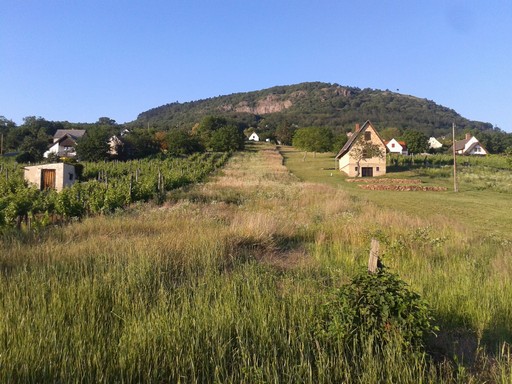 Property 2 is long (250 meters (820 feet)) and narrow (13 meters (42 feet)) and had a vineyard that was recently ripped out.