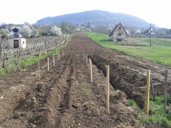 Property 2: Tilled and forground preped for over summer temporary planting of current wine plants.
