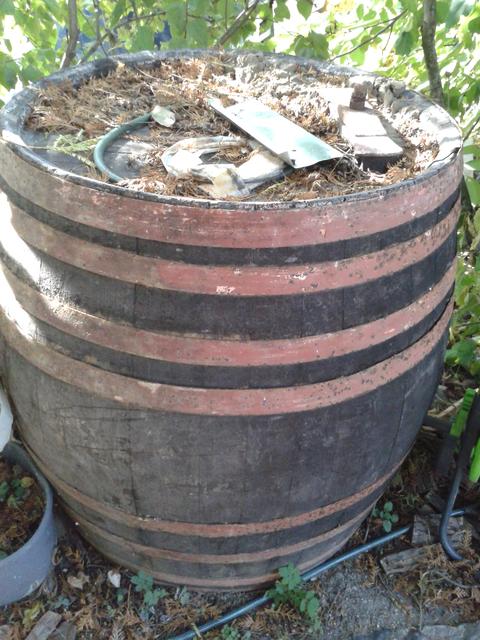 A 350 liter oak barrel I removed from our cellar. 