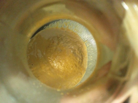 Looking at lees through the neck of a glass carboy.