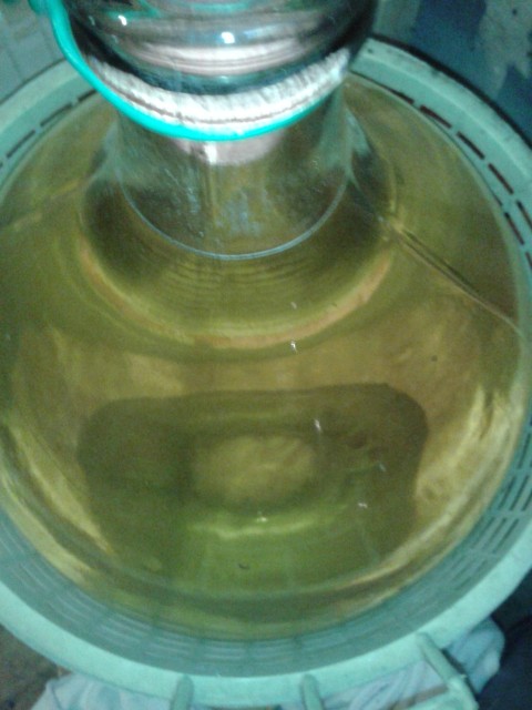 Fine lees in glass carboy.