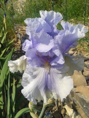 2015-05-13 15.37.55