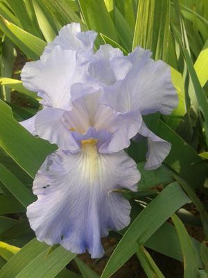 2015-05-13 15.47.11
