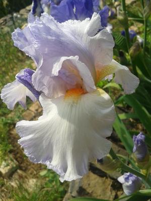 2015-05-13 15.54.29