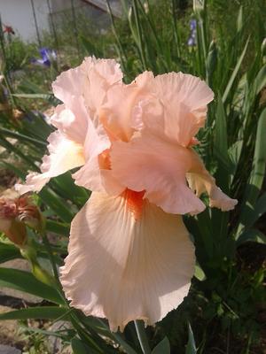 2015-05-13 15.55.09
