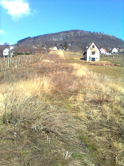 Property 2 at time of purchase.