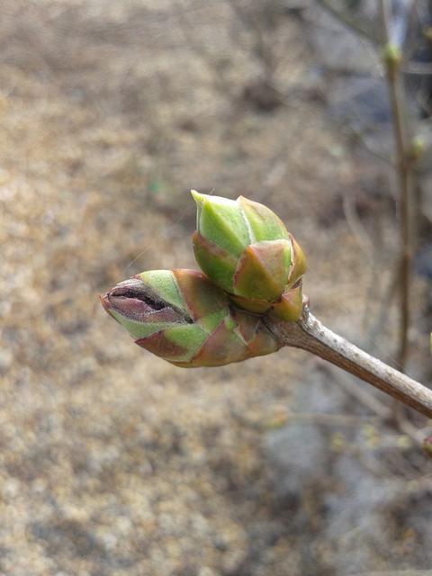 Signs Spring Is&nbsp;Coming