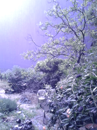 Lightning flash making it like day.