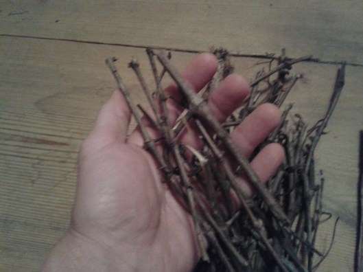 Small kindling twigs.