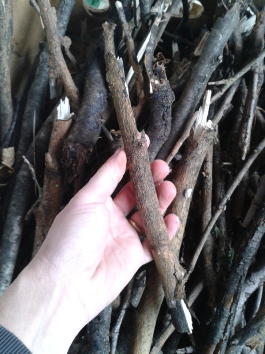 Small dry tree branches can also be used instead of thin wood strips.