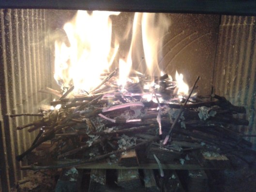 Twigs fully in combustion.