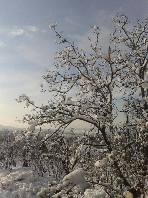 It Snowed Last&nbsp;Night