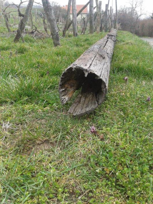 Old power line pole top rot.