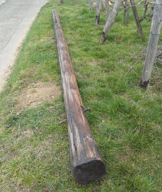 Old power line wood pole after removal.