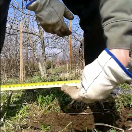 The hole should be at least 50 cm (20 in) deep.