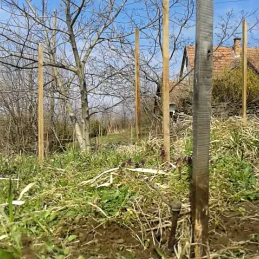 Post replaced and planting completed.