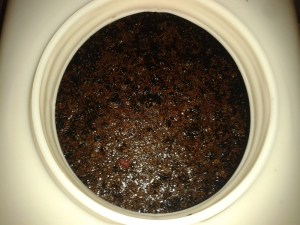 Crushed and soaking in the primary fermentation vat.