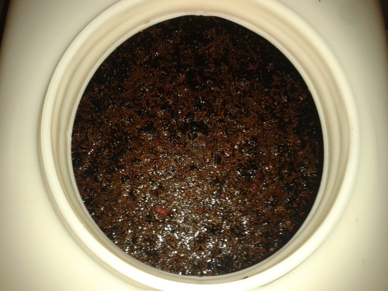 Crushed and soaking in the primary fermentation vat.