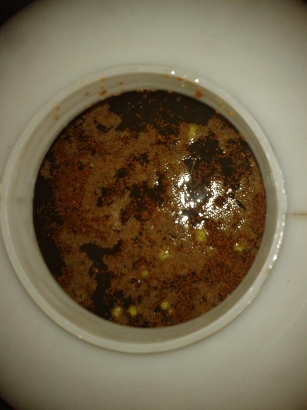 White mulberries crushed and soaking in the primary fermentation vat.