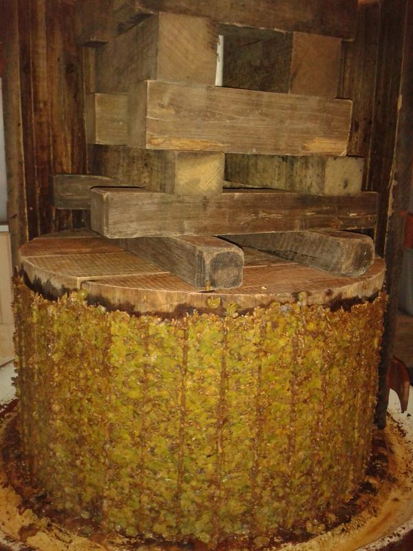 Pressed and compacted grapes after pressing.