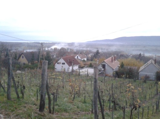 Burning leaves and polluting the environment. The "right" way to do things.