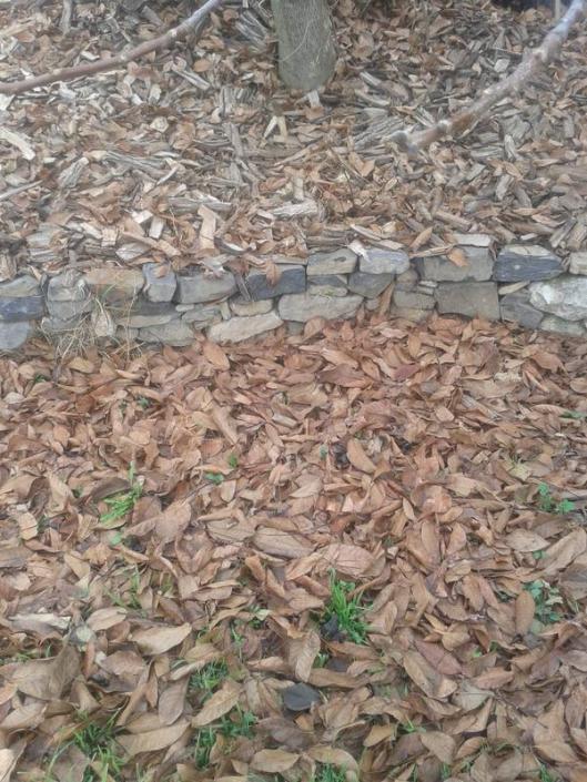 Fall leaves on the ground. Apparently, this is "wrong".