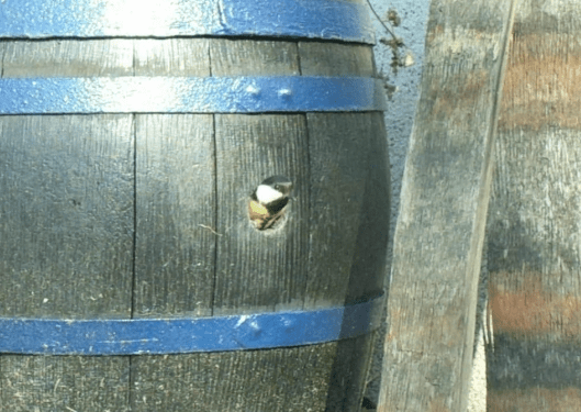 A wine barrel bird house
