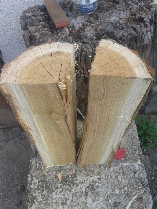 A freshly split firewood log for testing moisture content.