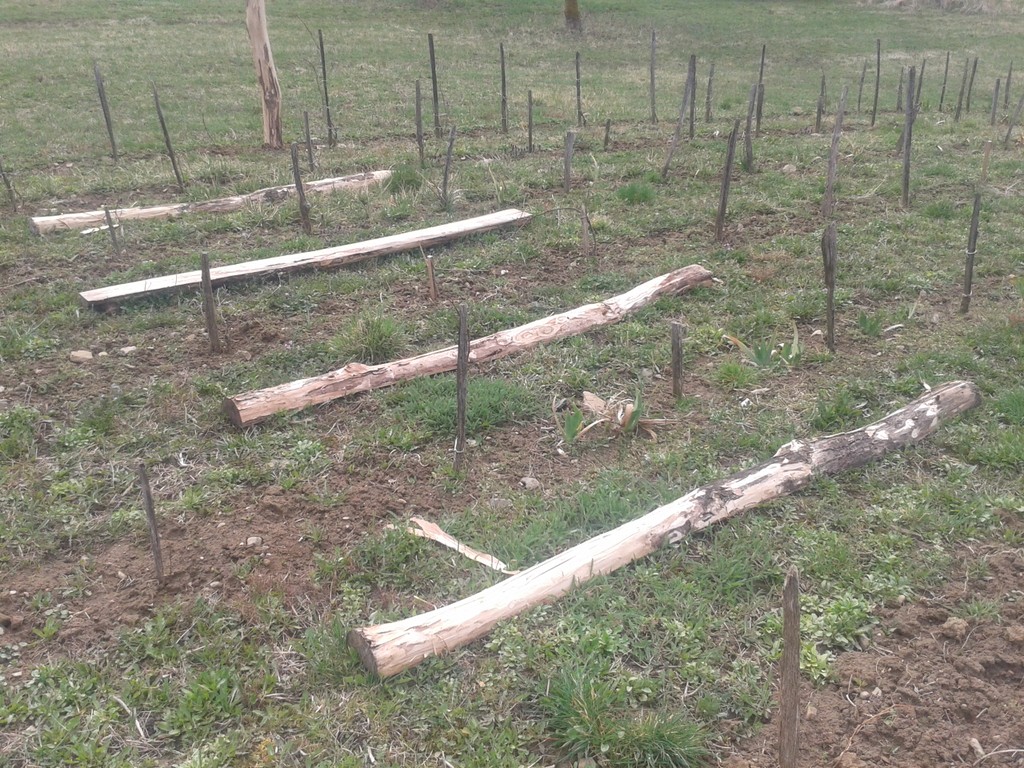 March Postings