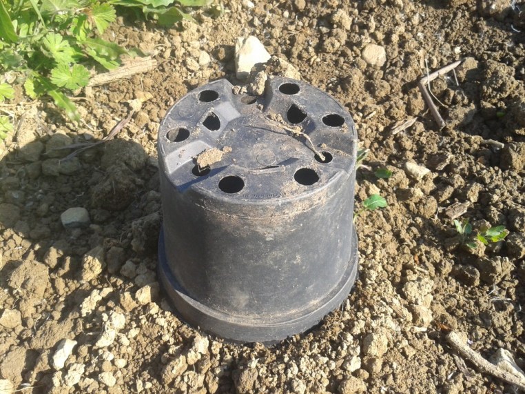 Plastic pot green house.