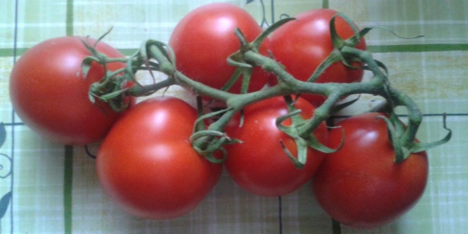 Another Tramp Abroad