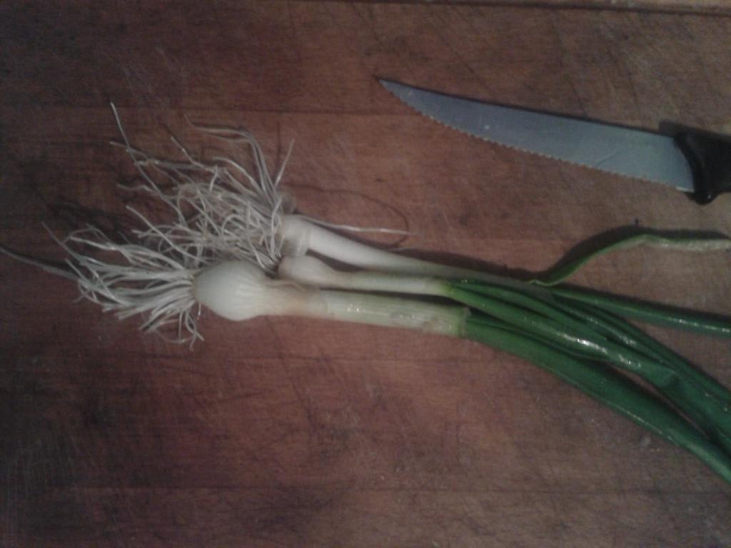 Winter Onions