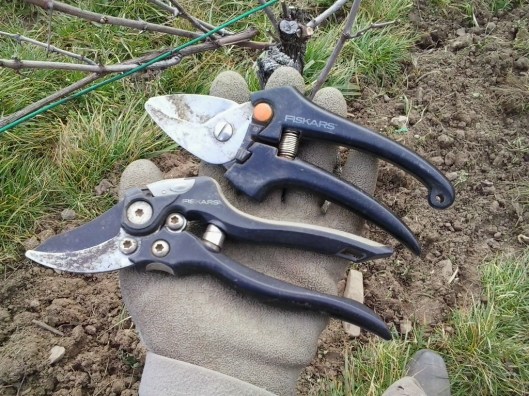 In the belt: Two types of hand pruning shears. One for normal canes, with a weak spring that will not fatigue my hand. And a second multi-leveraged shear for cutting thicker material easily.