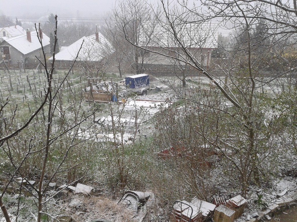 March Snow