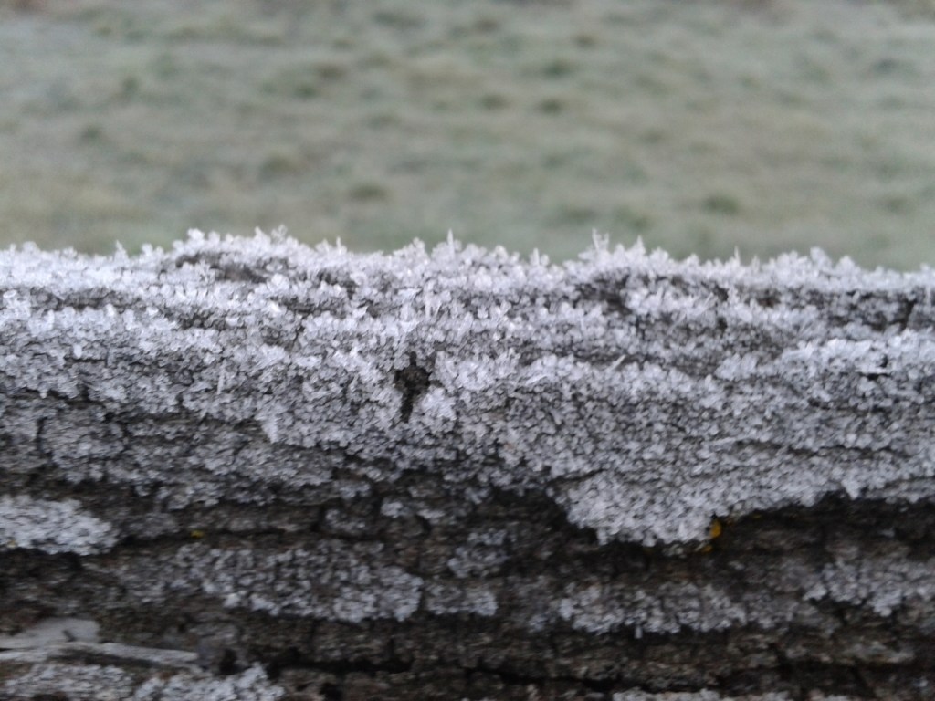 First Frost of Autumn 2020