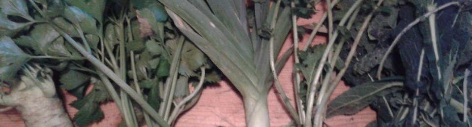 Garden Harvest End of November