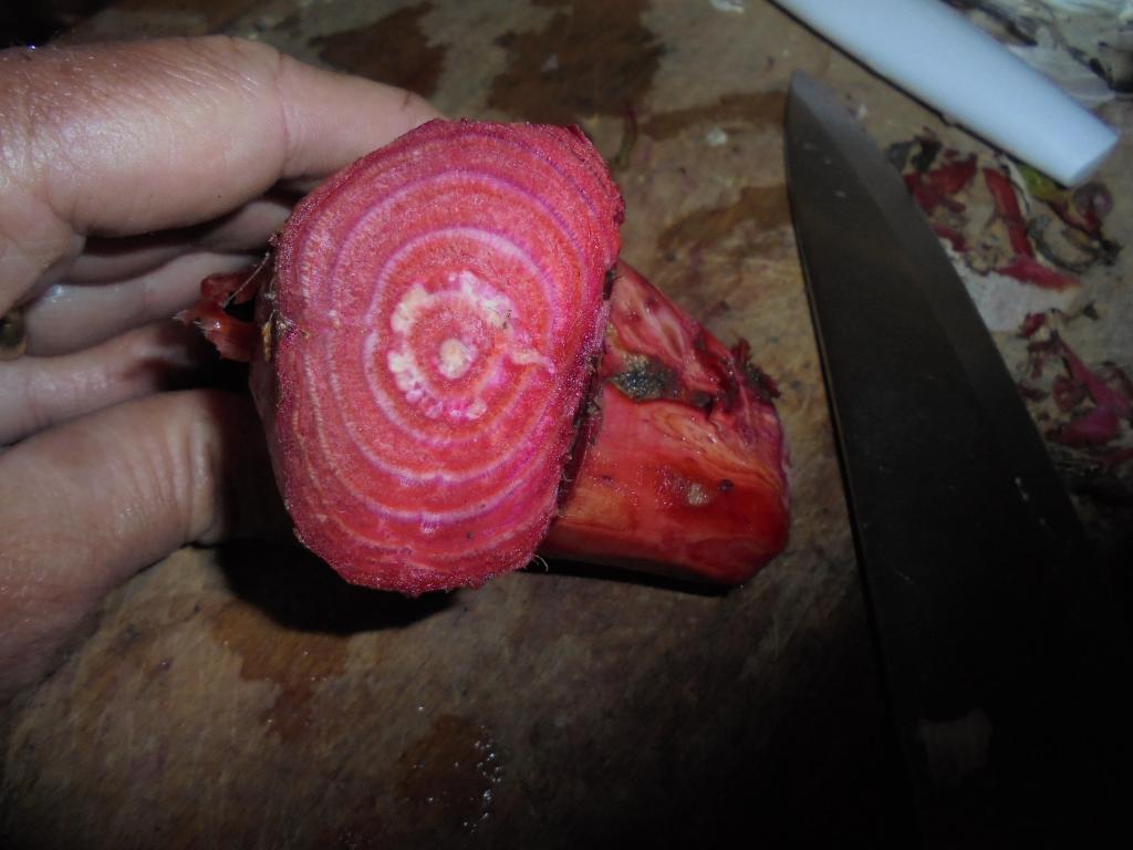 Swiss Chard sliced root